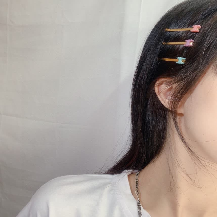 Celine Colorful Hair Clips Set